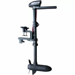 ELEKTROMOTOR HASWING W-20 20 LBS